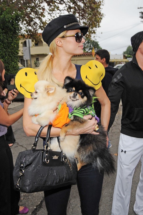 Paris Hilton, wearing a smiley face dress, shops at Trashy Lingerie with her two pooches and boyfriend Cy Waits